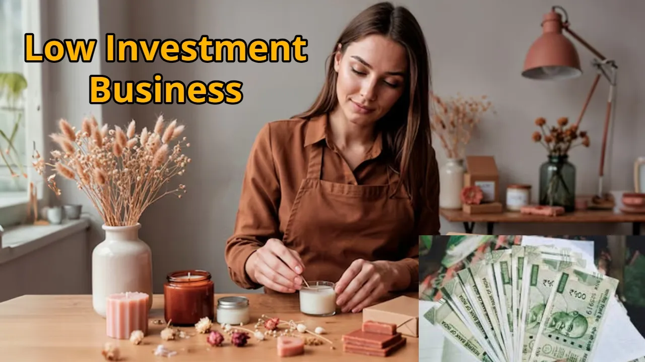 Low Investment Business