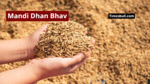 Mandi Dhan Bhav: What is The Price of Paddy in India Markets Today?
