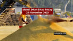 Mandi Dhan Bhav Today 25 November 2025