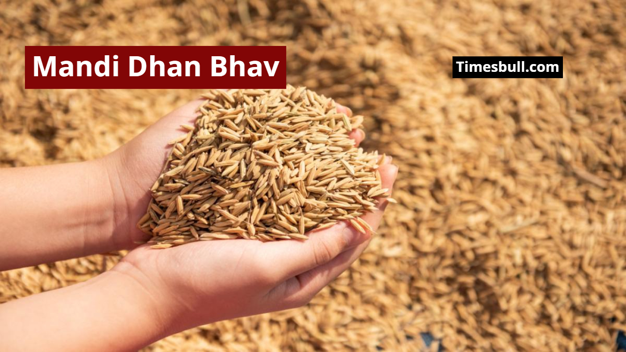 Mandi Dhan Bhav: What is...