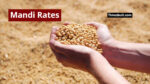 Mandi Rates