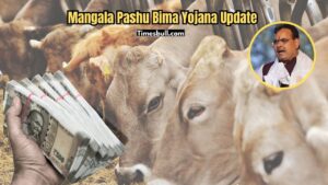 Mangala Pashu Bima Yojana – Govt Starts Insurance for Cows, Buffaloes and More, Know How to Register