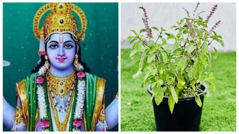 Mokshada Ekadashi Remedies