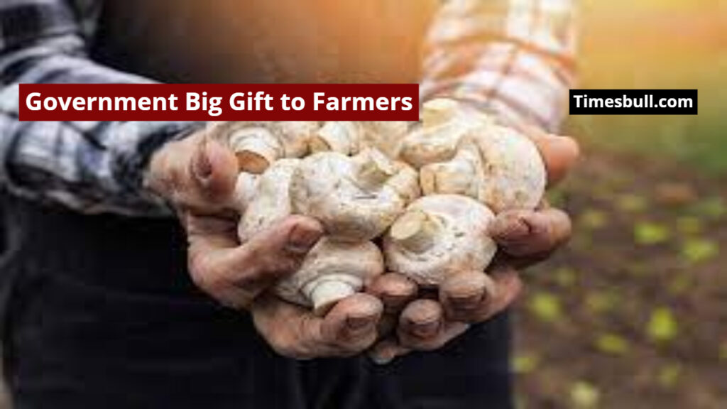 Mushroom Subsidy Scheme