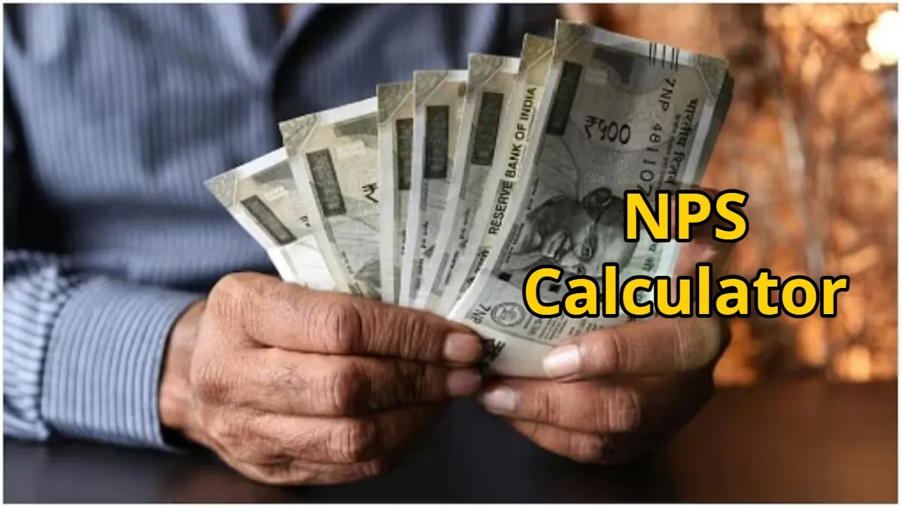NPS Calculator