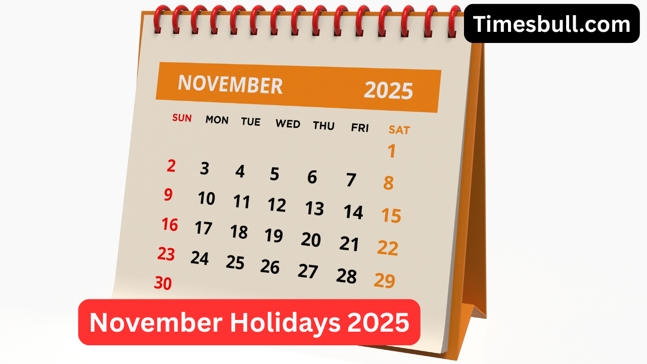 November Holidays 2025: Government