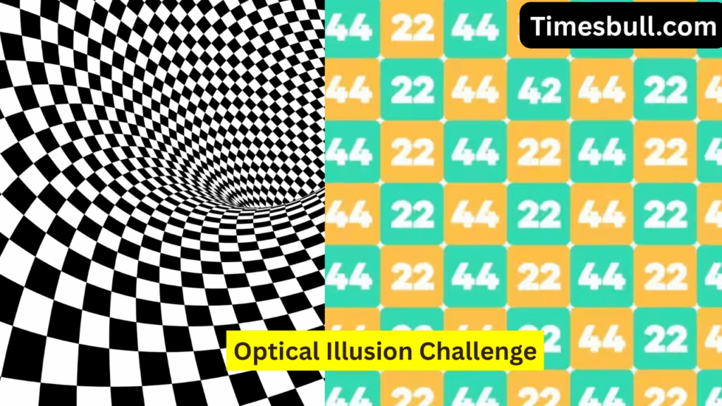 Optical Illusion Challenge 3