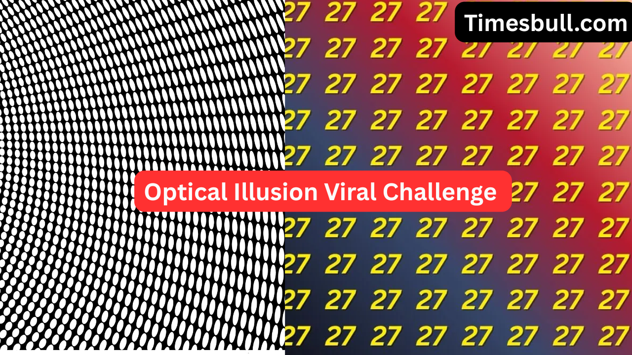 Viral Optical Illusion: Can