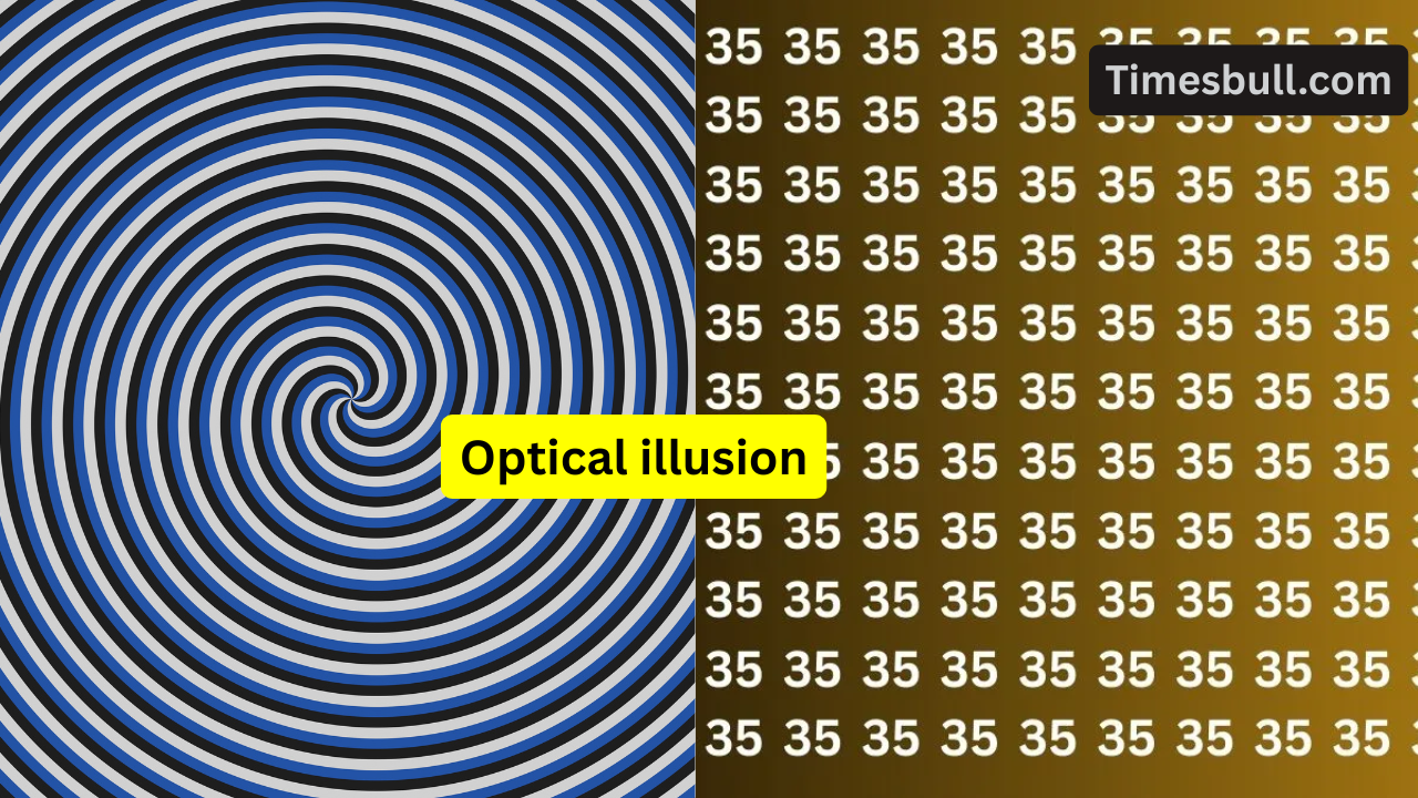 Optical Illusion- Finding the