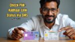 PAN–Aadhaar Link Status