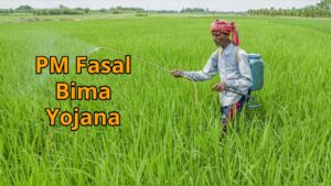 Farmers should know the benefits, eligibility and complete application process of PMFBY