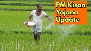 PM Kisan 21st Installment Not Received? Here’s What to Do