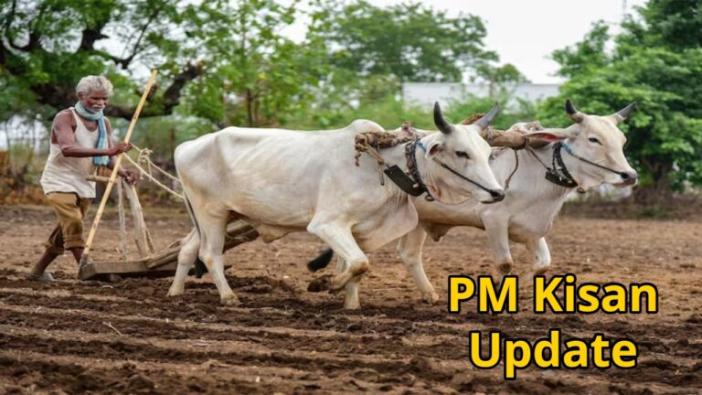 Centre has taken a major decision on the PM Kisan Yojana, removing the names of 35 lakh farmers