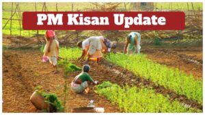 PM Kisan Update – Rs 4,000 to be Credited on Nov 19, Here Know Check Your Status Online