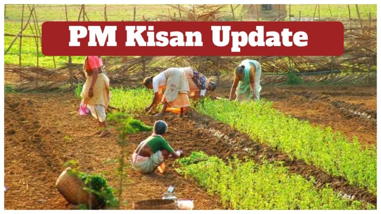 PM Kisan Update – Rs 4,000 to be Credited on Nov 19, Here Know Check Your Status Online