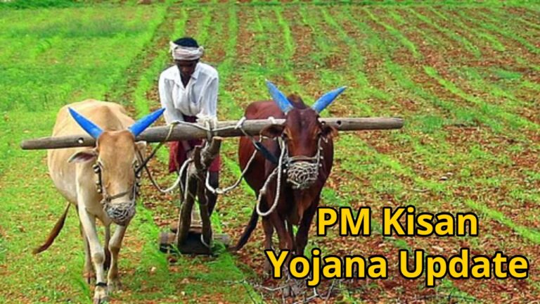 PM Kisan Yojana Update