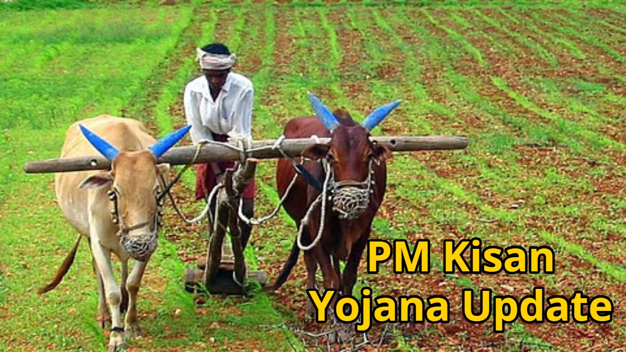 PM Kisan Yojana Update