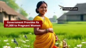 PM Matru Vandana Yojana: Government Provides Rs 11,000 to Pregnant Women, Know How to Apply