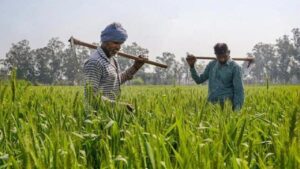 How to get help for crop loss from PMFBY? Read the details