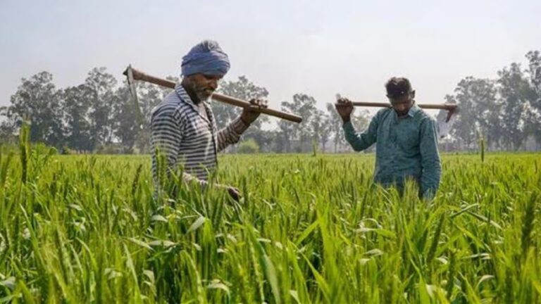 How to get help for crop loss from PMFBY? Read the details