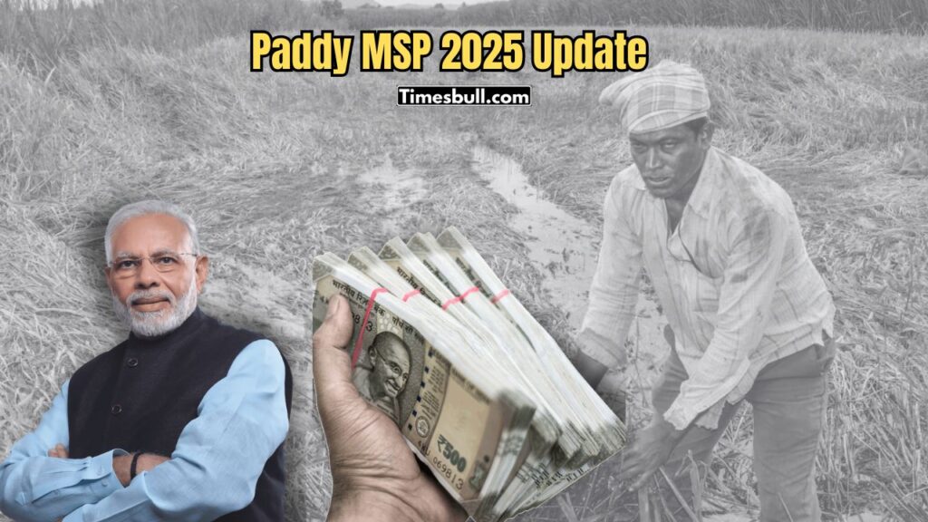 Paddy MSP 2025