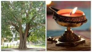 Pitra Dosh Remedies: Light A Diya Under Peepal Tree For Relief