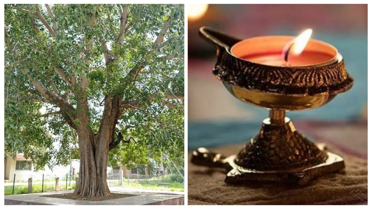 Pitra Dosh Remedies: Light A...