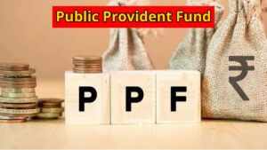 Investing in PPF every month can generate lakhs of rupees, Understand complete calculation