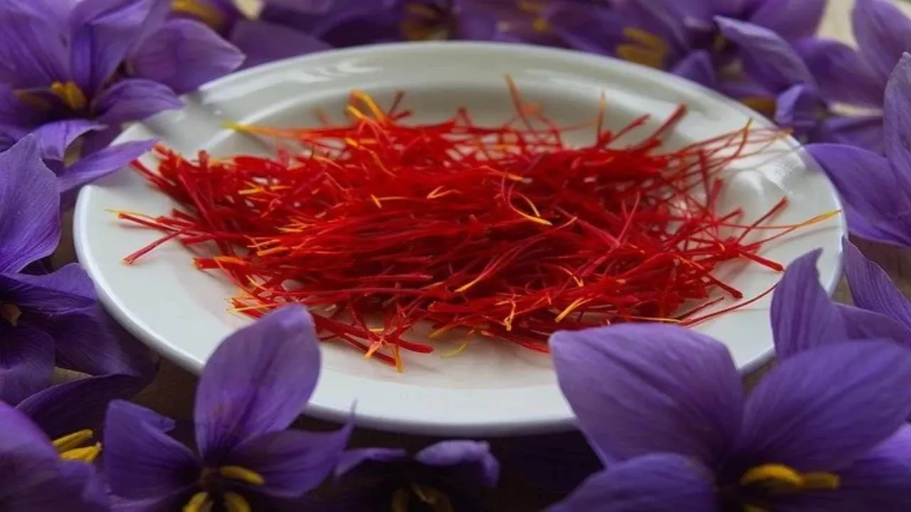 Saffron Farming