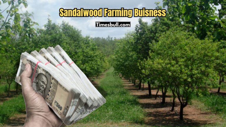 Sandalwood Farming Explained: Grow 50 Trees and Become a Millionaire — Full Guide From Seeds to Sales