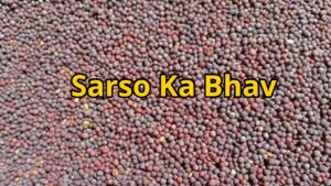 Mustard prices rise, farmers reap rich rewards, read the details