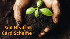 This partner is more important than irrigation and weeding, ensuring complete safety of farming