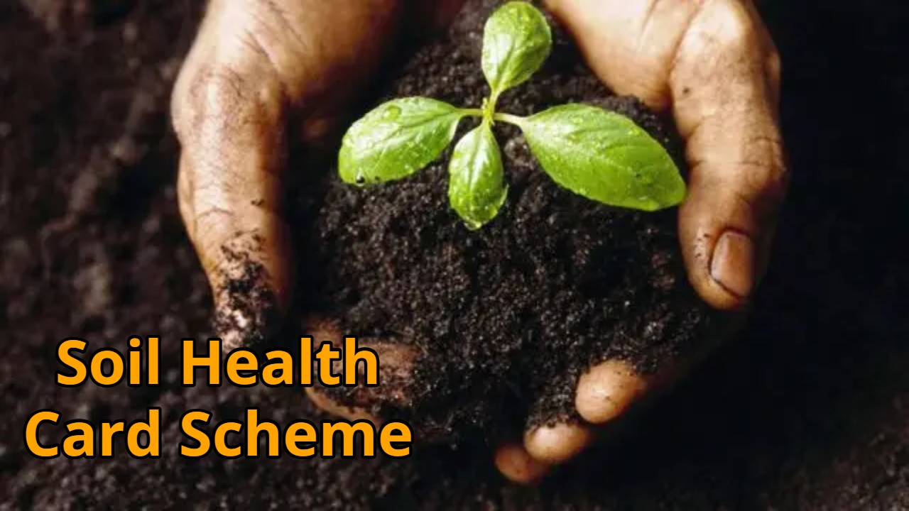 This partner is more important...