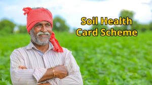 Farmers’ income will double, big government announcement!