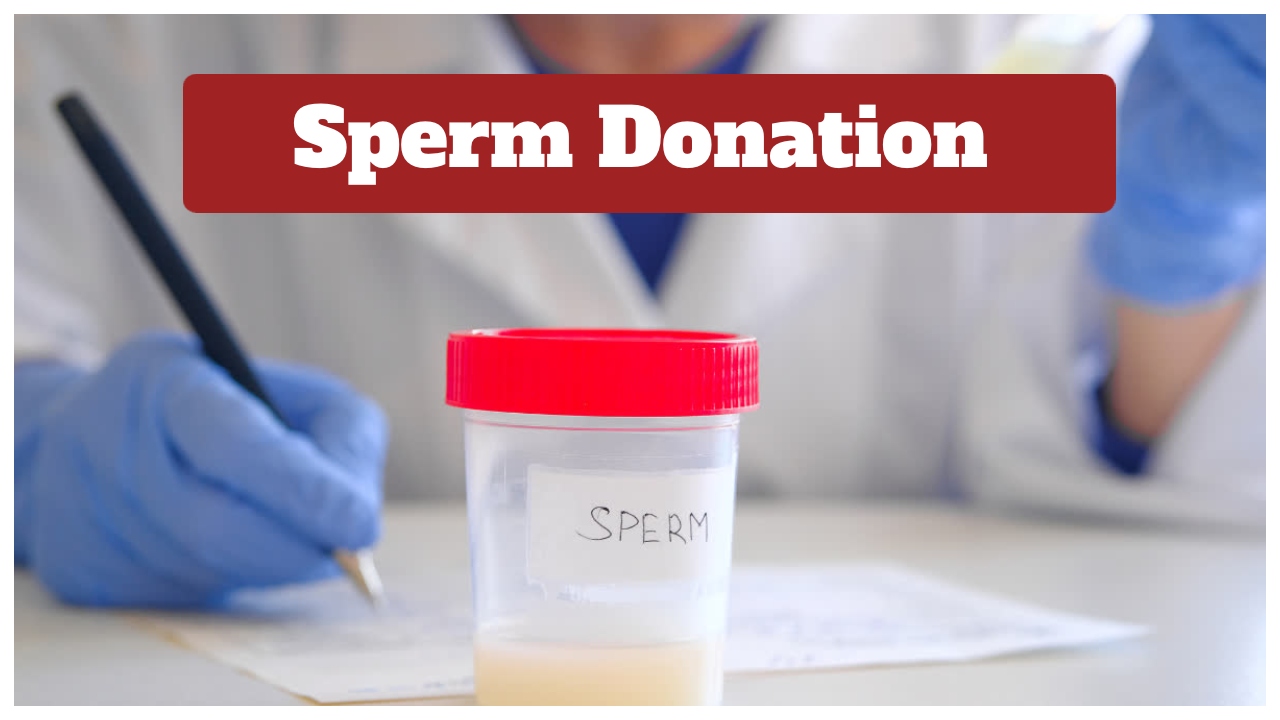 Sperm Donation – Students Earn...