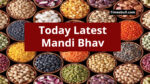 Today Latest Mandi Bhav
