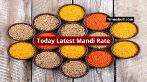 Today Latest Mandi Rate – Strong Rise in Cotton, Moong And Sesame