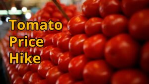 Tomato Price Hike – Tomato prices surge – leaving common man penniless