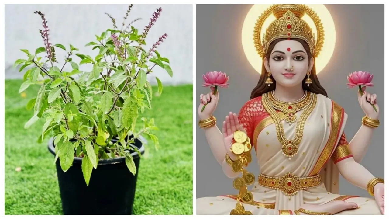 Tulsi Chalisa Rules
