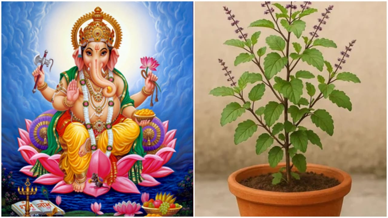 Why Tulsi And Lord Ganesha...