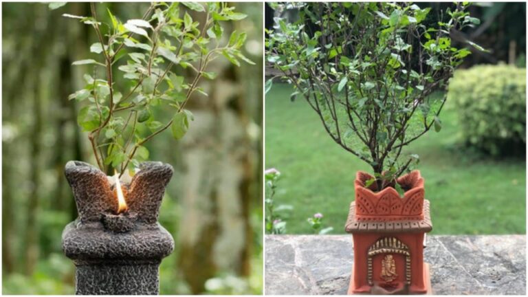 Tulsi Plant Upay