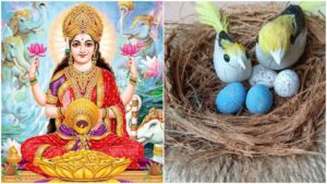 Vastu Tips: If You’re Getting These 5 Signs, Good Days Are About To Begin