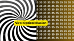 Viral Optical Illusion (1)