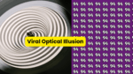 Viral Optical Illusion (1)
