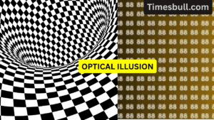 Viral Optical Illusion- Everyone Sees 88… But Can You Find the Secret 98?