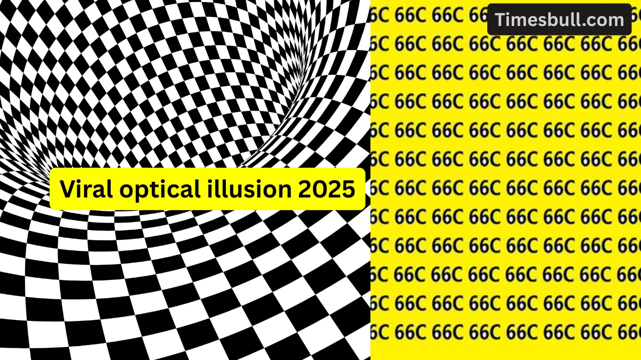 Viral Optical Illusion 2025 (3)