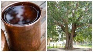 Margashirsha Amavasya 2025: Do These 5 Remedies to Remove Pitra Dosh