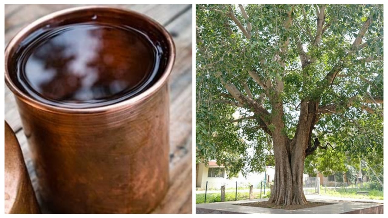 Margashirsha Amavasya 2025: Do These...