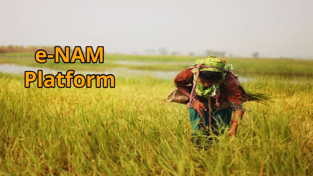 e-NAM Platform