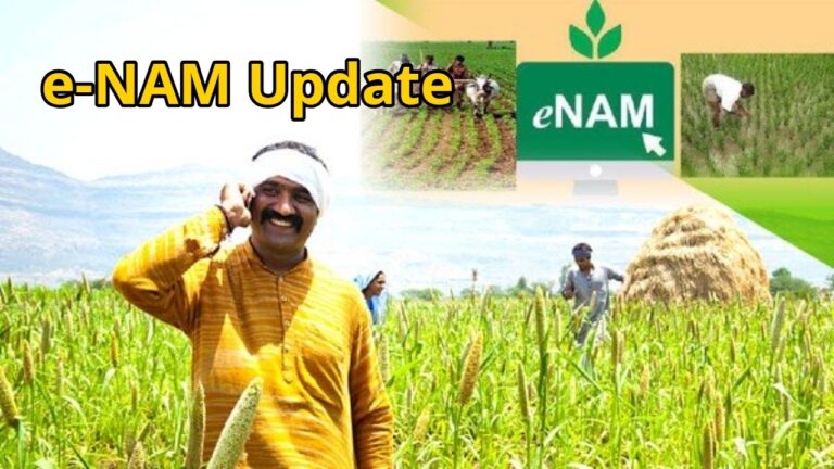 9 New Agricultural Commodities Added to e-NAM, 247 Products Now Tradeable